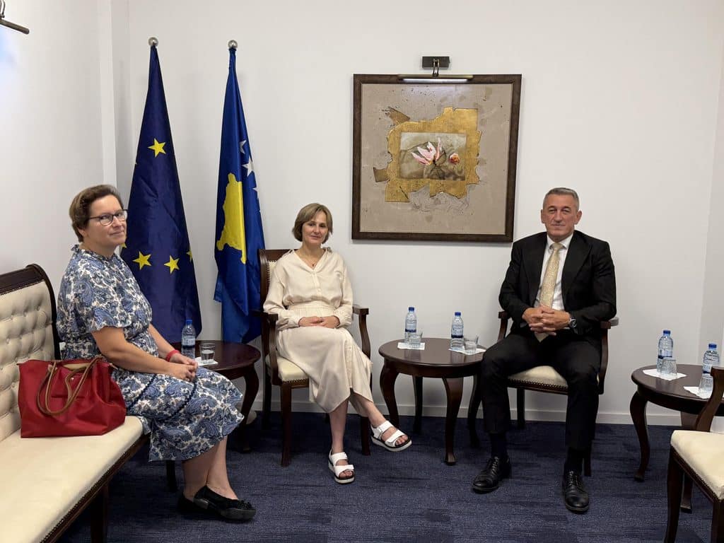 Continuation of successful cooperation: Rašić met with IOM representatives